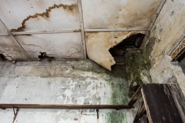 Water Damage Service in Grand Prairie