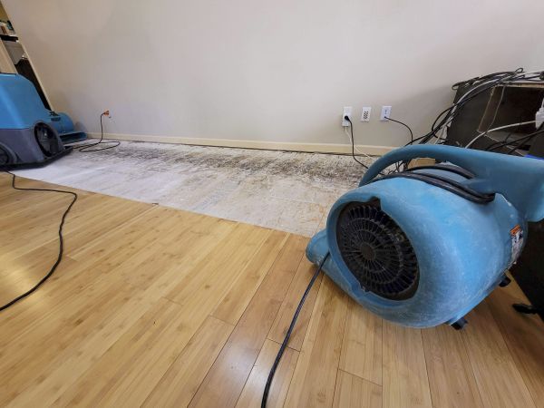 Water Damage Mitigation in Grand Prairie