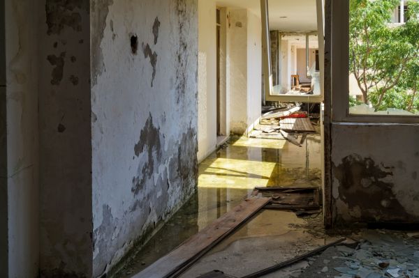 Cost of Water Removal Service in Grand Prairie