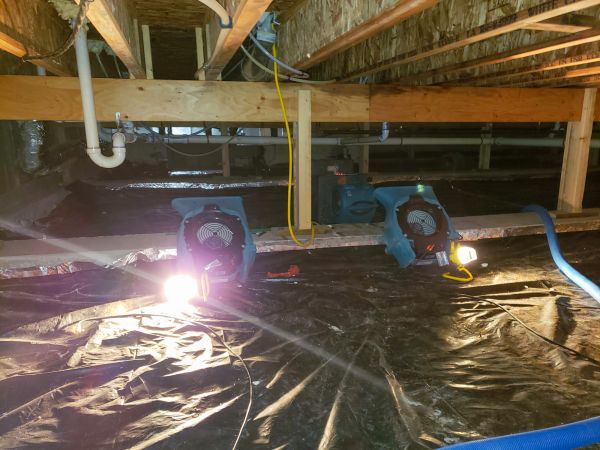 Cost of Crawlspace Water Removal in Grand Prairie
